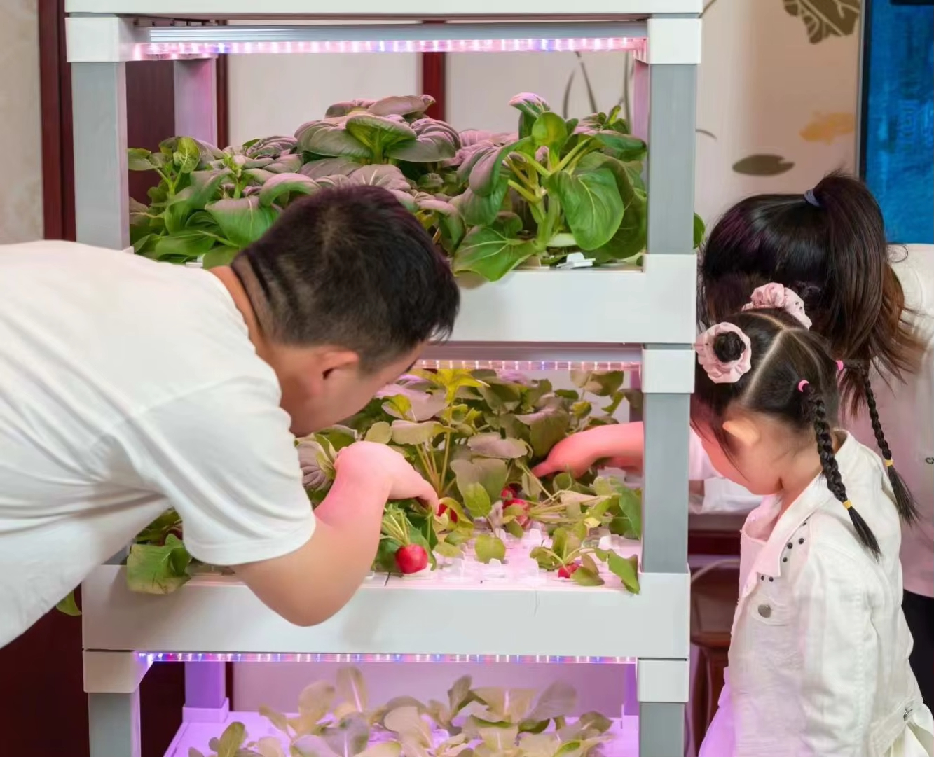 nt China Hydrokultur Grow Box  – обзор и цена Diy Home Automation System
