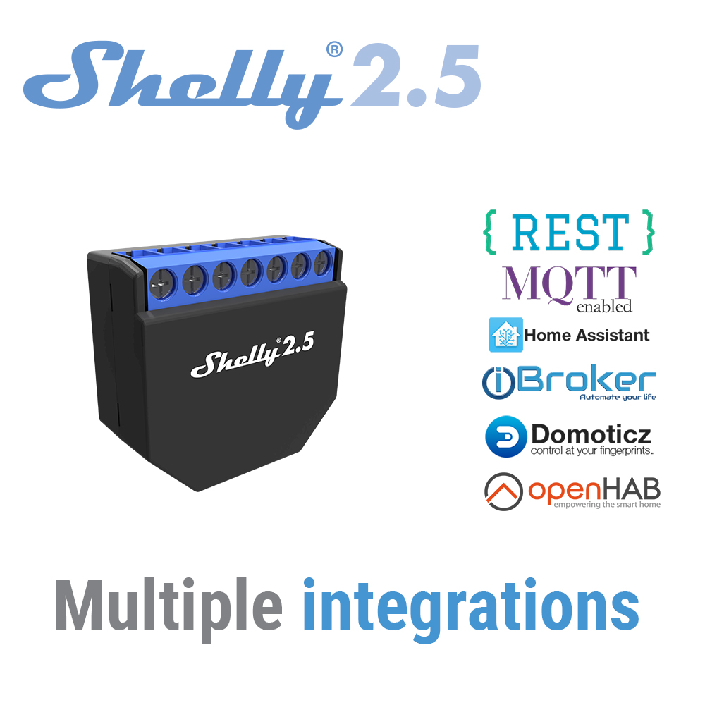 Shelly 2.5 Smart Home Double R – обзор и цена Shelly Relay Module