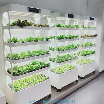 Iydroponic Automated Grow Syst – обзор и цена Diy Home Automation System