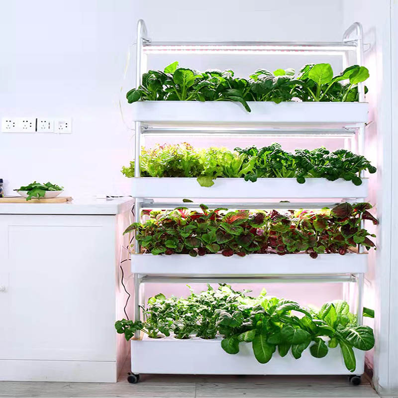 ydroponic Planting System Smar – обзор и цена Diy Home Automation System